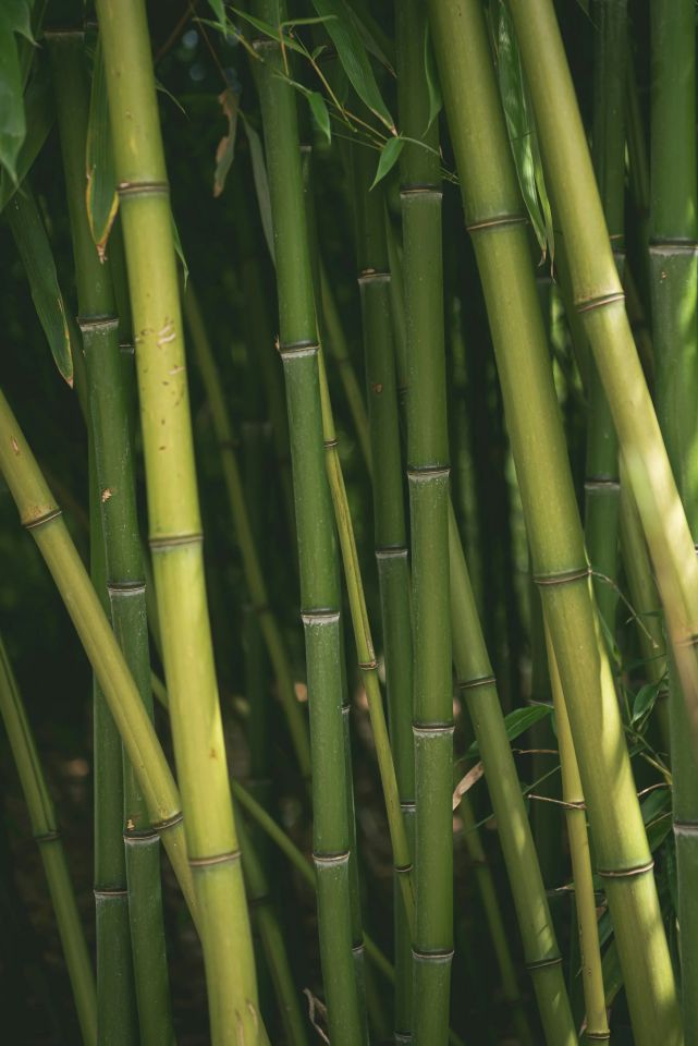 Elevate Your Kitchen With Timeless Bamboo Craftsmanship